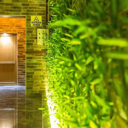 Formback Thermal & Aparthotel 4*